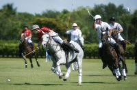 polo club