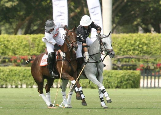 polo magazine photos alex pacheco polo teams erg piaget