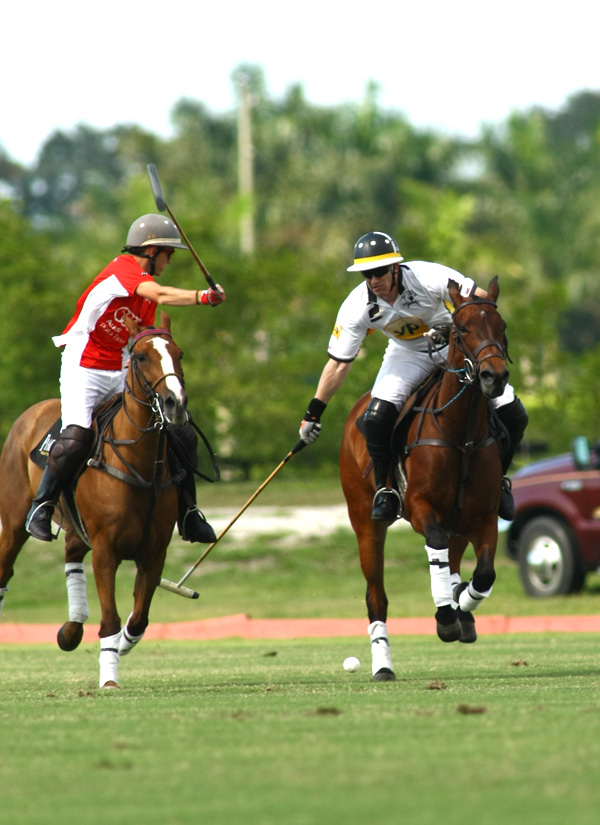 yp com polo 3