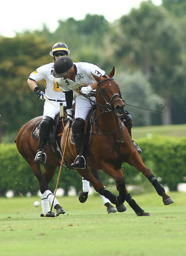 yp com polo 4