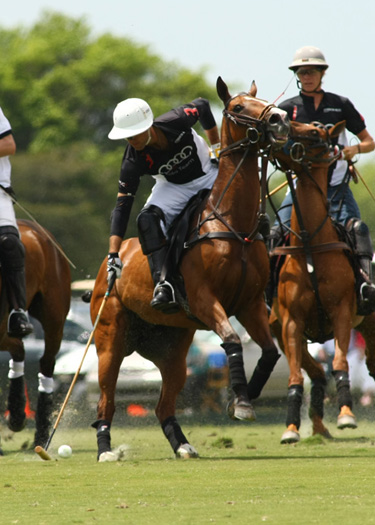alex pacheco polo photos polo magazine us open polo florida audi zorzal