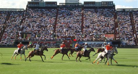 poloargstadium